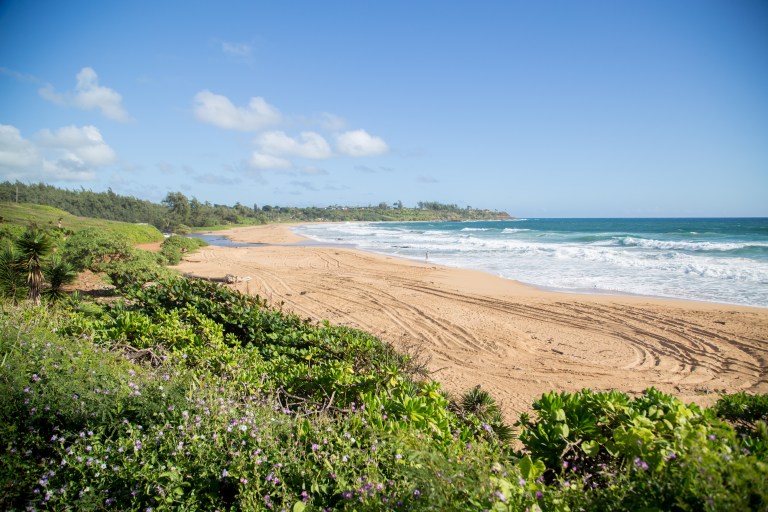 Kealia Beach. It's not the best beach for swimming, but it's so close to the house and is our getaway every day after work.